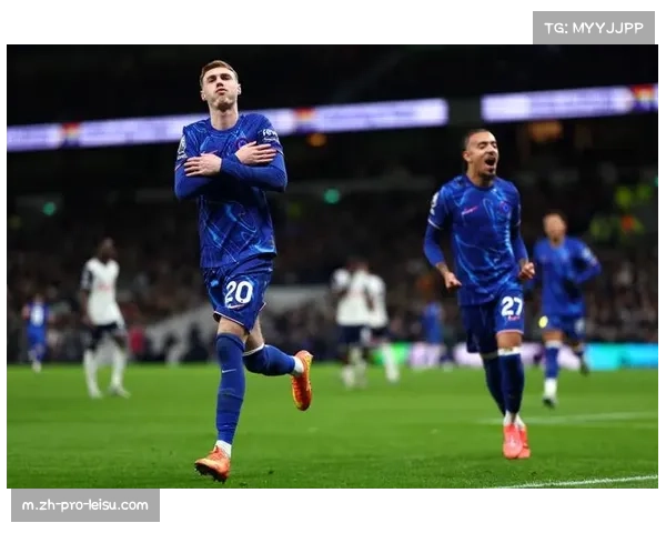 蓝军主场强势表现 16战桑德兰13胜创辉煌纪录 蓝军主场强势表现 16战桑德兰13胜创辉煌纪录